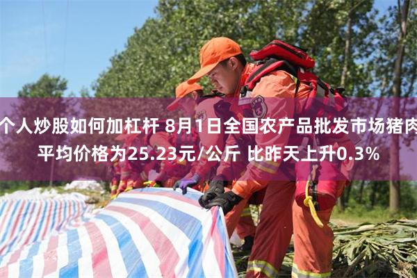 个人炒股如何加杠杆 8月1日全国农产品批发市场猪肉平均价格为25.23元/公斤 比昨天上升0.3%