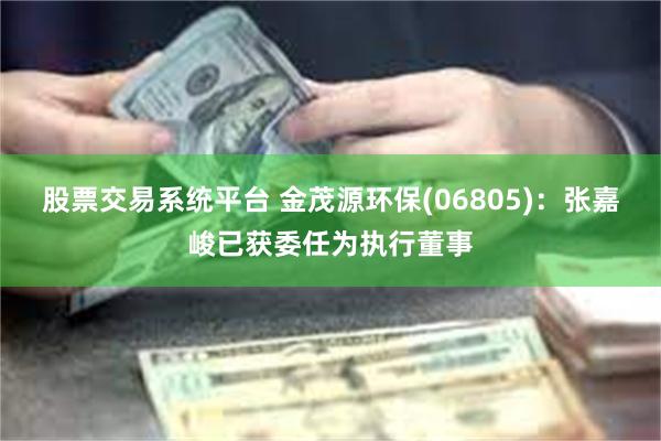 股票交易系统平台 金茂源环保(06805)：张嘉峻已获委任为执行董事