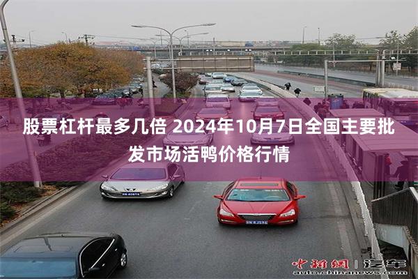 股票杠杆最多几倍 2024年10月7日全国主要批发市场活鸭价格行情