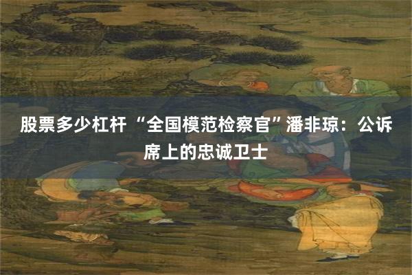 股票多少杠杆 “全国模范检察官”潘非琼：公诉席上的忠诚卫士