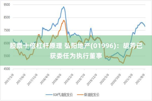 股票十倍杠杆原理 弘阳地产(01996)：胡芳已获委任为执行董事