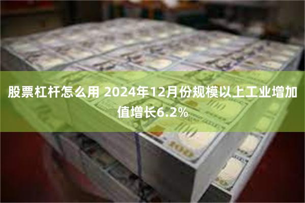 股票杠杆怎么用 2024年12月份规模以上工业增加值增长6.2%