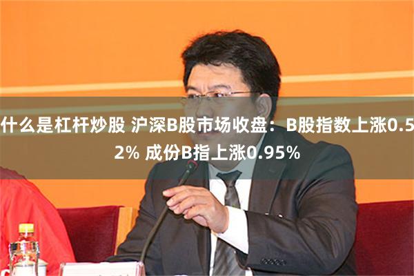 什么是杠杆炒股 沪深B股市场收盘：B股指数上涨0.52% 成份B指上涨0.95%